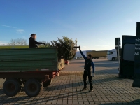 Christbaumaktion 2023